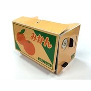 VR GOGGLES ミカン箱