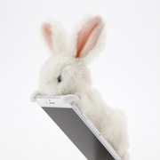 ZOOPY iPhone 6s Plus/iPhone 6 Plus ウサギ/白