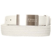 ニッケルサテーナメッシュ ベルト カラー WHITE