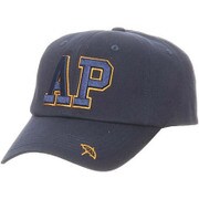 AP デカロゴアメカジ CAP カラー NAVY