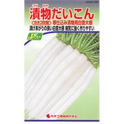 KS300シリーズ No.236 [漬物だいこん 寒仕込み 漬物用白首大根]