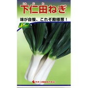 KS300シリーズ No.246 [下仁田ねぎ]