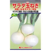KS300シリーズ No.251 [サラダ玉ねぎ 浜育 早生]