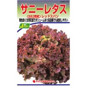 KS300シリーズ（野菜） No.279 サニーレタス レッドスパン