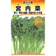 宮内菜 あぶら菜 KS200シリーズ No.283
