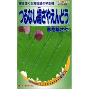 KS100シリーズ No.506 [つるなしえんどう 赤花絹さや]