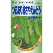KS100シリーズ No.507 [つるあり絹さやえんどう 赤花絹さや]