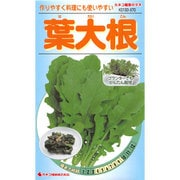 KS100シリーズ（野菜） No.570 葉大根