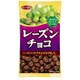 レーズンチョコ [53g]