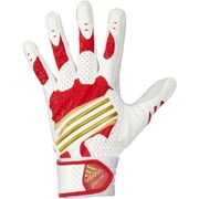 BIS24-AP3602-L [Professional バッティンググローブ(両手)]