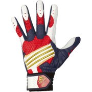 BIS24-AP3604-L [Professional バッティンググローブ(両手)]