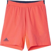 BKE22-AX8116-J/L [MENS PROバミューダ ハーフパンツ NEW YORK]