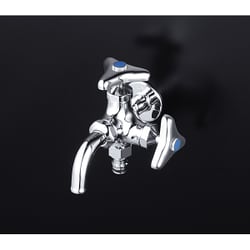 KVK K124SPZ-JAN 寒屋外ニップル二口横水栓 [水廻り用品]