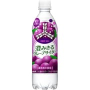 三ツ矢 澄みきるグレープサイダー PET500ml×24本 [炭酸飲料]