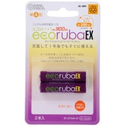 充電式電池 エコルーバEX 単4×2本 BT-JUTG4H 2P