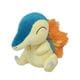 ポケットモンスター ぬいぐるみ ヒノアラシ S [キャラクターグッズ]