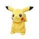 ポケットモンスター ぬいぐるみ ピカチュウ L [キャラクターグッズ]