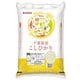 精米 千葉県産 コシヒカリ 10kg 令和6年産