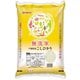 無洗米 千葉県産 コシヒカリ 5kg 令和6年産