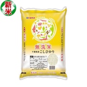 無洗米 千葉県産 コシヒカリ 5kg 令和7年産