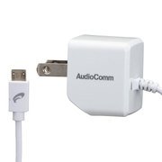 ACチャージャー MicroUSB 2.4V MAV-AM02N