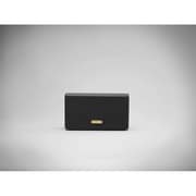 Stockwell Case ZMS-04091454