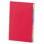 2017年 カラーインデックスダイアリー 月間 レッド RFD1732R