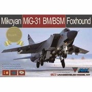 AGM88003S [1/48スケール エアクラフトシリーズ 限定品 ミコヤーン MiG-31BM/BSM フォックスハウンド 限定版]