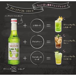 ヨドバシ Com Monin モナン モナン グリーンアップル シロップ 250ml 通販 全品無料配達