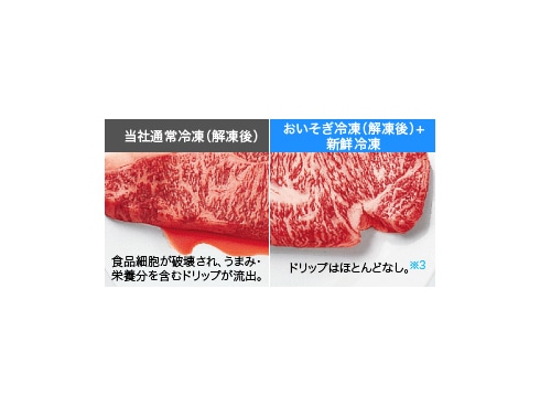 ヨドバシ.com - シャープ SHARP 冷蔵庫 (505L・フレンチドア ヨドバシ.com - シャープ SHARP 冷蔵庫 (505L・フレンチドア