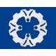 BRAKING ディスクローター WF8510 76662