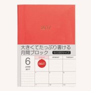 2017年手帳 ノートダイアリー B5 月間 ブロック 2016年10月始まり 日曜始まり NS-002-17R