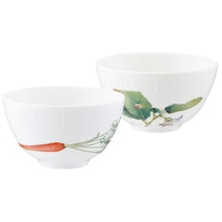 京香旬彩 飯碗ペアセット 絵変り P91083/1620-35