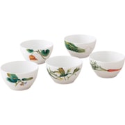 京香旬彩 11cm ボウルセット 5個 絵変り F94502/1620-37