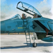F-15イーグル用昇降ラダー [1/48 エアクラフトアクセサリー]