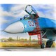 Su-27フランカー用昇降ラダー [1/48 エアクラフトアクセサリー]