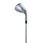 DolphinWedge DW-116 ウェッジ NS-PRO 950GH（スチール）（S） ロフト角50度 2016年モデル [ゴルフ ウェッジ]
