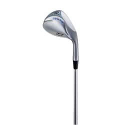 DolphinWedge DW-116 ウェッジ ダイナミックゴールド（スチール）（S200） ロフト角52度 2016年モデル [ゴルフ ウェッジ]