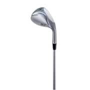 DolphinWedge DW-116 ウェッジ ダイナミックゴールド（スチール）（S200） ロフト角52度 2016年モデル [ゴルフ ウェッジ]