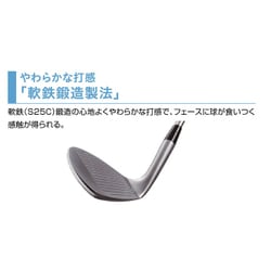 Kasco - キャスコ ドルフィンウェッジDW-116FORGED 56度 DG-S200 Amazon.co.jp: キャスコ(Kasco) ドルフィンウェッジ ウェッジ