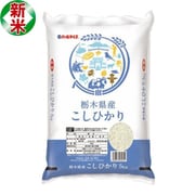 精米 栃木県産 コシヒカリ 5kg 令和7年産