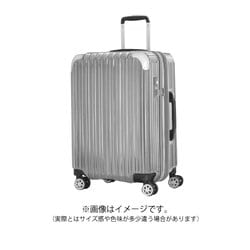 ヨドバシ.com - シフレ siffler Trident トライデント TRI2035-49