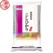精米 新潟県産 こしひかり 10kg 令和7年産