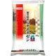 精米 福井県産 華越前 10kg 令和5年産