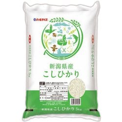 精米 新潟県産 コシヒカリ 5kg 令和6年産