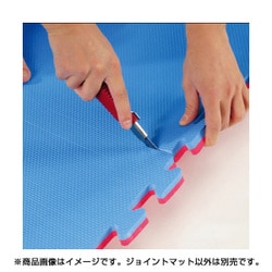 ヨドバシ.com - ボディメーカー BODYMAKER リバーシブルジョイントマット2.0NEW ブルー×レッド [1m×1m×2.0cm]  通販【全品無料配達】