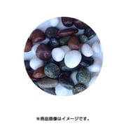 金魚王子 本五色石 4kg
