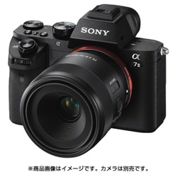 ヨドバシ.com - ソニー SONY SEL50M28 FE 50mm F2.8 Macro [50mm/F2.8 