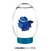 アクアエッグ ブルー