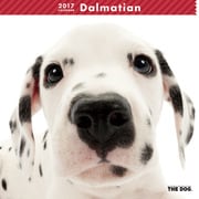 THE DOG カレンダー ダルメシアン [2017年カレンダー]